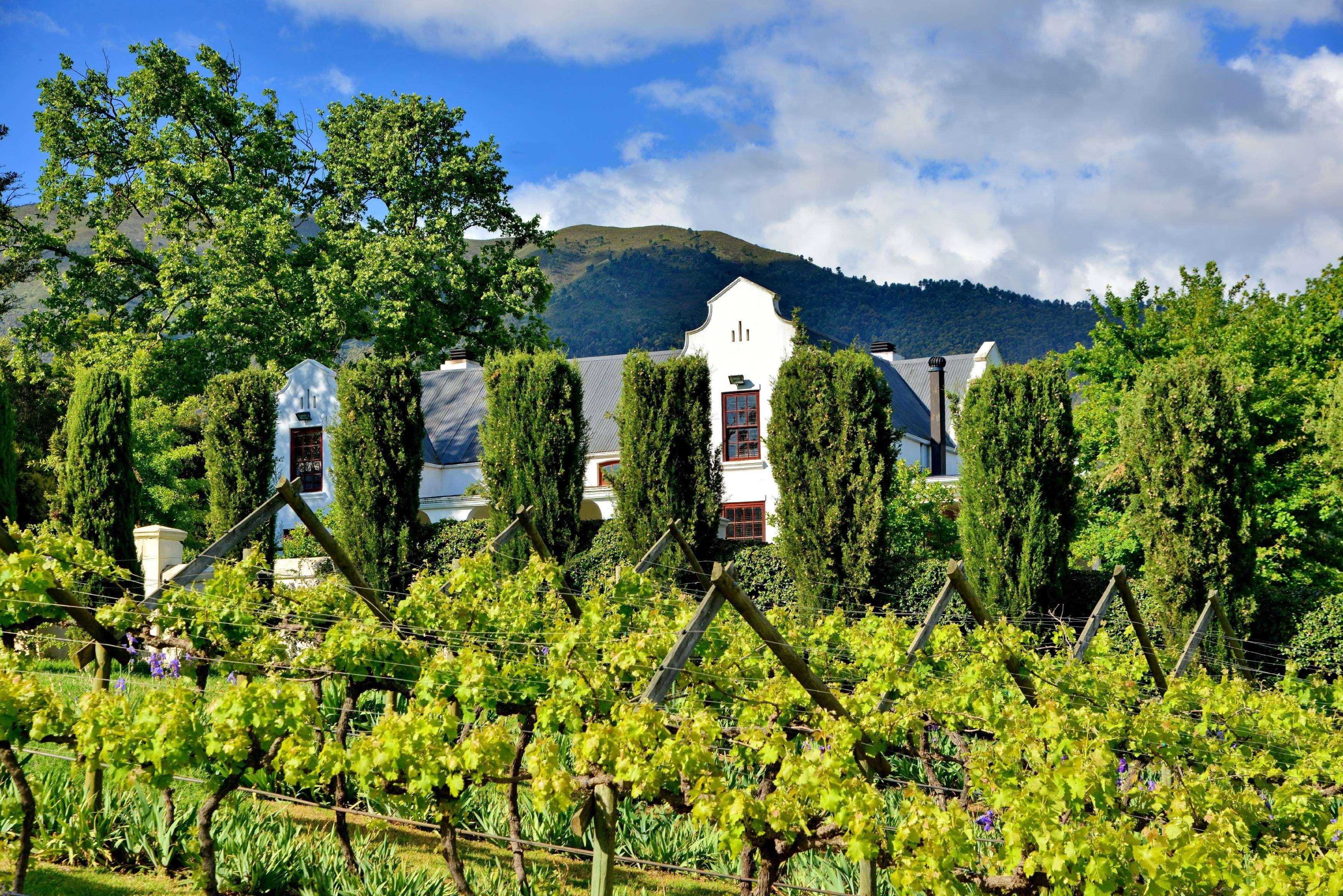 Hotel Val Du Charron Wine&Leisure Estate Wellington Exterior foto